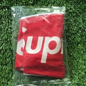 Authentic Supreme Box Logo Beach Ball SS15